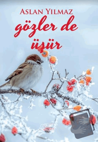 Gözler de Üşür - Aslan Yılmaz - Kuytu Yayınları - Fiyatı - Yorumları -