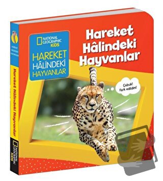 Hareket Halindeki Hayvanlar - İlk Kitaplarım Serisi (Ciltli) - Ruth A.