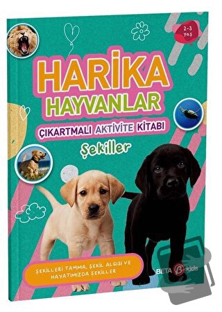 Harika Hayvanlar - Çıkartmalı Aktivite Kitabı - Buket Kurt - Beta Kids