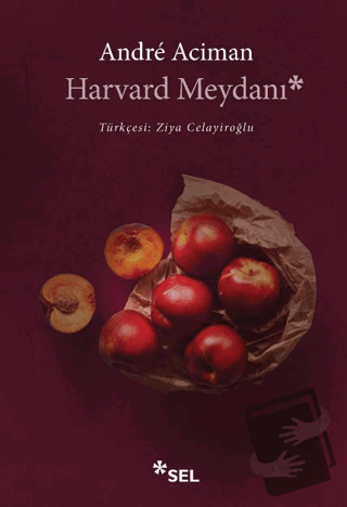 Harvard Meydanı - Andre Aciman - Sel Yayıncılık - Fiyatı - Yorumları -