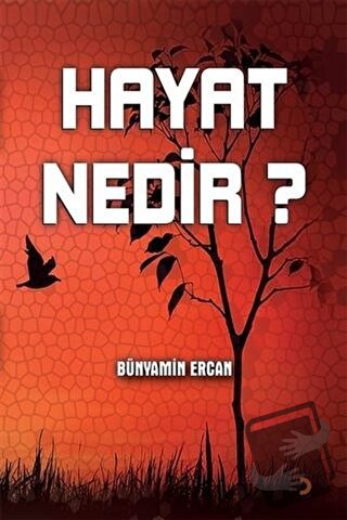 Hayat Nedir? - Bünyamin Ercan - Cinius Yayınları - Fiyatı - Yorumları 