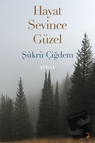 Hayat Sevince Güzel - Şükrü Çiğdem - Cinius Yayınları - Fiyatı - Yorum