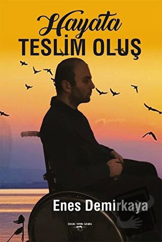 Hayata Teslim Oluş - Enes Demirkaya - Sokak Kitapları Yayınları - Fiya