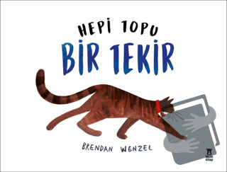 Hepi Topu Bir Tekir - Brendan Wenzel - Taze Kitap - Fiyatı - Yorumları