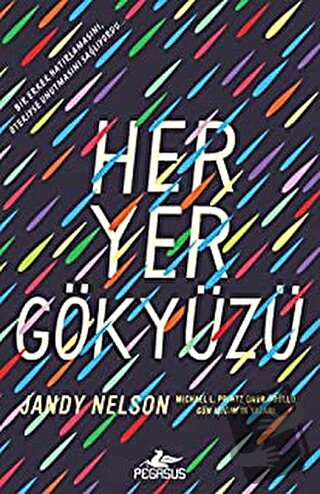 Her Yer Gökyüzü - Jandy Nelson - Pegasus Yayınları - Fiyatı - Yorumlar