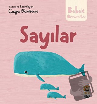 Hikayeli İlk Kavramlarım - Sayılar - Çağrı Odabaşı - Sincap Kitap - Fi