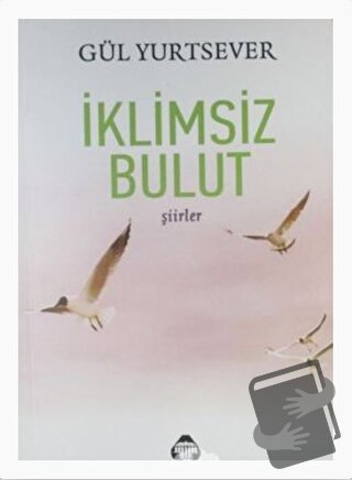 İklimsiz Bulut - Gül Yurtsever - Alan Yayıncılık - Fiyatı - Yorumları 