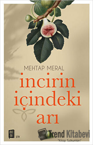 İncirin İçindeki Arı - Mehtap Meral - Mona Kitap - Fiyatı - Yorumları 