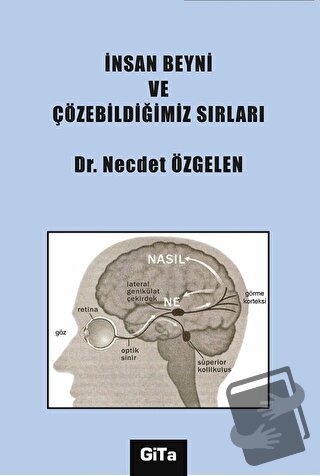 İnsan Beyni ve Çözebildiğimiz Sırları - Necdet Özgelen - Gita Yayınlar