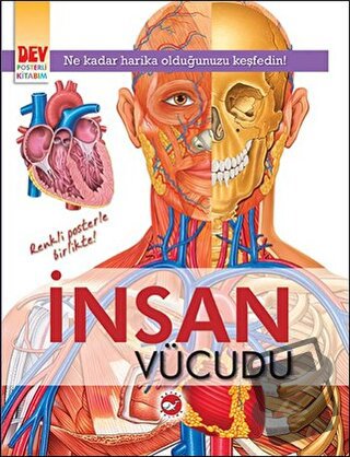 İnsan Vücudu - Kolektif - Beyaz Balina Yayınları - Fiyatı - Yorumları 