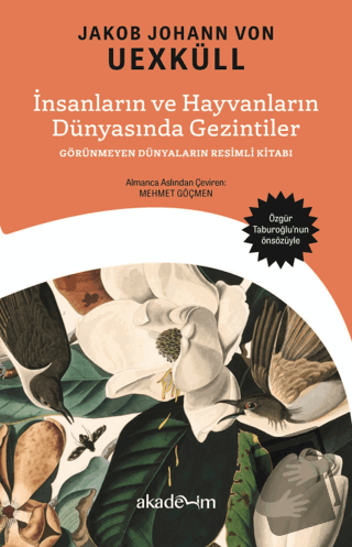 İnsanların ve Hayvanların Dünyasında Gezintiler: Görünmeyen Dünyaların