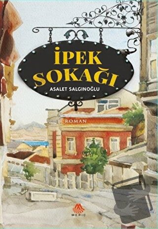 İpek Sokağı - Asalet Salgınoğlu - Meriç Yayınları - Fiyatı - Yorumları