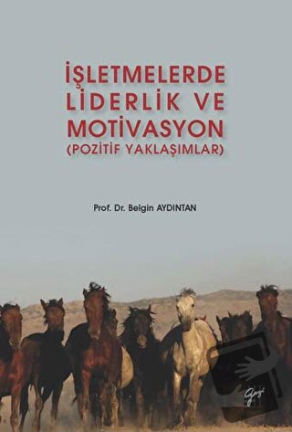 İşletmelerde Liderlik ve Motivasyon - Belgin Aydıntan - Gazi Kitabevi 