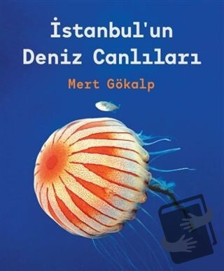 İstanbul'un Deniz Canlıları (Ciltli) - Mert Gökalp - İBB Yayınları - F