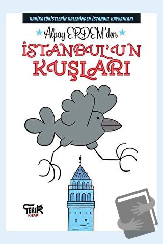 İstanbul'un Kuşları - Alpay Erdem - Tekir Kitap - Fiyatı - Yorumları -