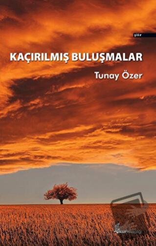 Kaçırılmış Buluşmalar - Tunay Özer - Okur Kitaplığı - Fiyatı - Yorumla