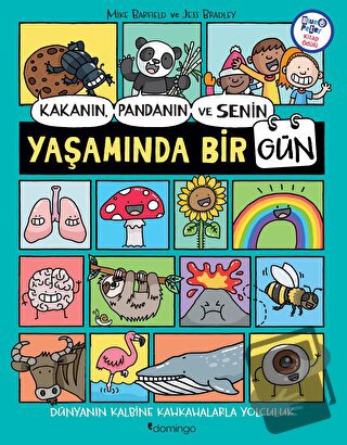 Kakanın, Pandanın ve Senin Yaşamında Bir Gün - Mike Barfield - Domingo