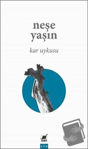 Kar Uykusu - Neşe Yaşın - Ayrıntı Yayınları - Fiyatı - Yorumları - Sat