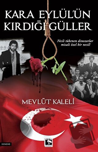 Kara Eylül'ün Kırdığı Güller - Mevlüt Kaleli - Çınaraltı Yayınları - F