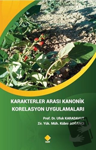 Karakterler Arası Kanonik Korelasyon Uygulamaları - Kübra Soğancı - Du