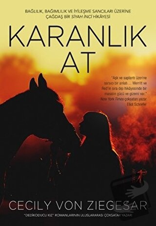 Karanlık At - Cecily Von Ziegesar - Artemis Yayınları - Fiyatı - Yorum