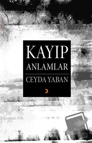 Kayıp Anlamlar - Ceyda Yaban - Cinius Yayınları - Fiyatı - Yorumları -