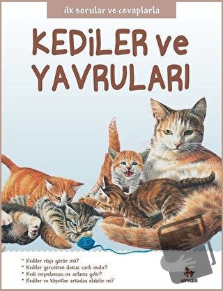 Kediler ve Yavruları - İlk Sorular ve Cevaplarla - Camilla de la Bedoy