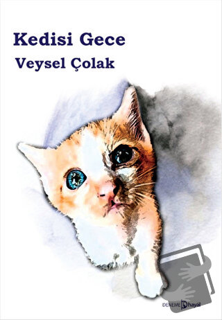 Kedisi Gece - Veysel Çolak - Hayal Yayınları - Fiyatı - Yorumları - Sa