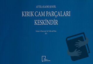 Kırık Cam Parçaları Keskindir - Attila Kadri Şendil - Gece Akademi - F