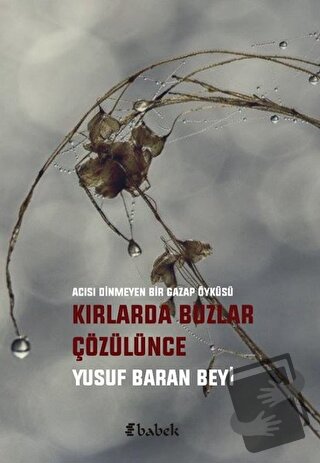 Kırlarda Buzlar Çözülünce - Yusuf Baran Beyi - Babek Yayınları - Fiyat