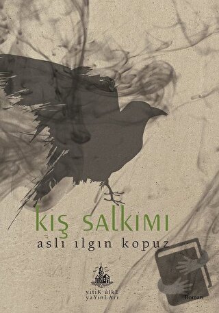 Kış Salkımı - Aslı Ilgın Kopuz - Yitik Ülke Yayınları - Fiyatı - Yorum