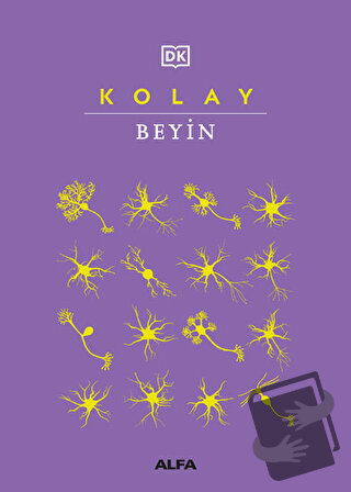 Kolay Beyin (Ciltli) - Angeles Gavira - Alfa Yayınları - Fiyatı - Yoru