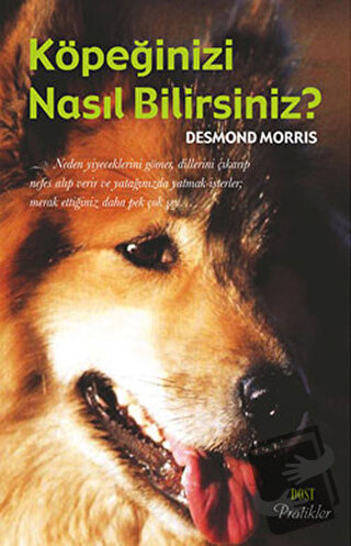 Köpeğinizi Nasıl Bilirsiniz? - Desmond Morris - Dost Kitabevi Yayınlar