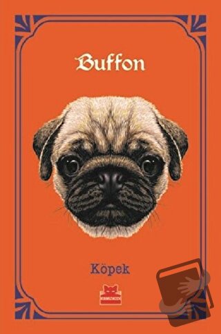 Köpek - Georges-Louis Leclerc Comte de Buffon - Kırmızı Kedi Yayınevi 