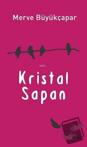 Kristal Sapan - Merve Büyükçapar - Şule Yayınları - Fiyatı - Yorumları