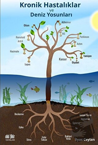 Kronik Hastalıklar ve Deniz Yosunları - İlyas Ceylan - Akıl Fikir Yayı