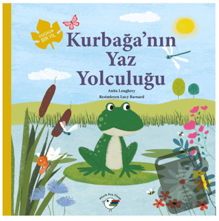 Kurbağa’nın Yaz Yolculuğu – Doğada Bir Yıl - Anita Loughrey - Minik Ku