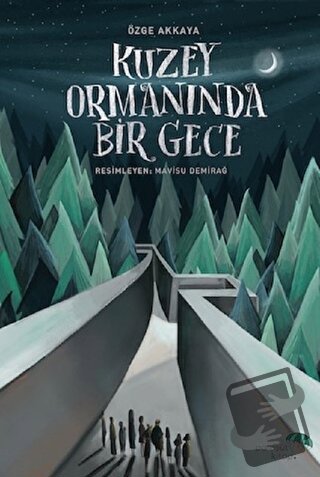 Kuzey Ormanında Bir Gece - Özge Akkaya - Paraşüt Kitap - Fiyatı - Yoru