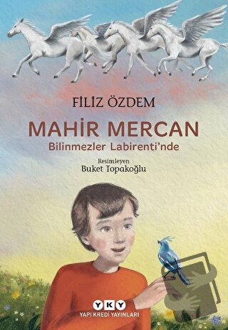 Mahir Mercan - Bilinmezler Labirenti'nde - Filiz Özdem - Yapı Kredi Ya