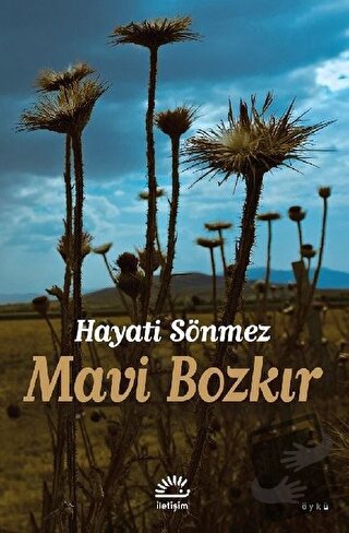 Mavi Bozkır - Hayati Sönmez - İletişim Yayınevi - Fiyatı - Yorumları -