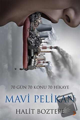 Mavi Pelikan - Halit Boztepe - Cinius Yayınları - Fiyatı - Yorumları -