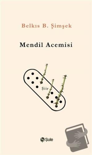 Mendil Acemisi - Belkıs B. Şimşek - Şule Yayınları - Fiyatı - Yorumlar