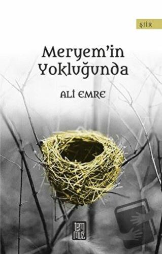 Meryem’in Yokluğunda - Ali Emre - Temmuz Yayınları - Fiyatı - Yorumlar