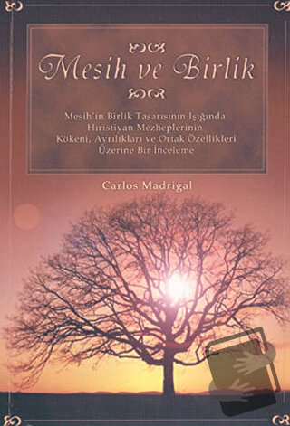 Mesih ve Birlik - Carlos Madrigal - Haberci Basın Yayın - Fiyatı - Yor