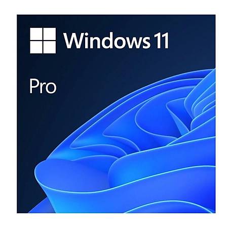 Microsoft Windows 11 Pro 64Bit Türkçe Kutu Hav-00159 Kutulu İşletim Si