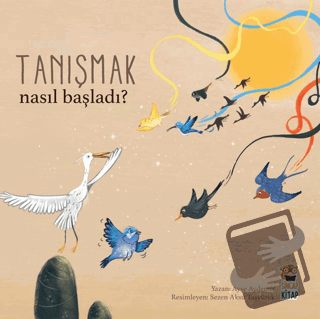 Nasıl Başladı? - Tanışmak - Ayşe Aydemir - Sincap Kitap - Fiyatı - Yor