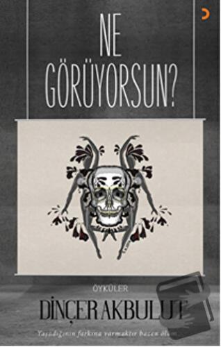 Ne Görüyorsun? - Dinçer Akbulut - Cinius Yayınları - Fiyatı - Yorumlar