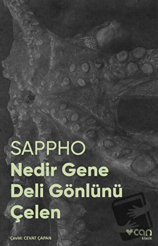 Nedir Gene Deli Gönlünü Çelen - Sappho - Can Yayınları - Fiyatı - Yoru