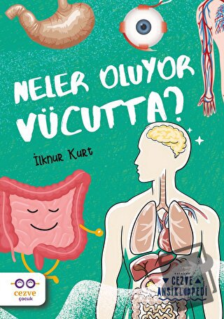 Neler Oluyor Vücutta? – Cezve Ansiklopedi - İlknur Kurt - Cezve Çocuk 