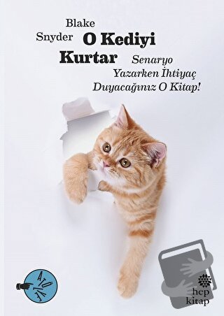 O Kediyi Kurtar: Senaryo Yazarken İhtiyaç Duyacağınız O Kitap! - Blake